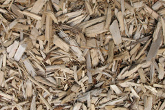 biomass boilers Harpford